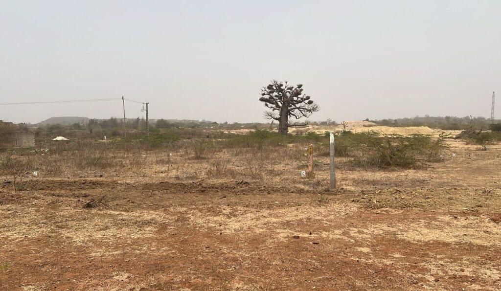 terrain-de-200m2-a-ndayane-03-1240×720