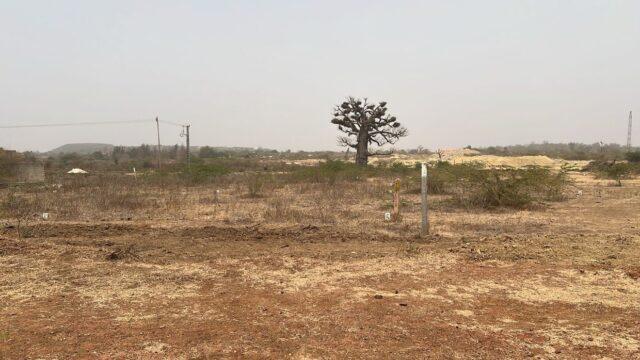 terrain-de-200m2-a-ndayane-03-1240×720