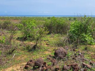 Terrain-a-Vendre-Vue-Sur-Mer-a-Popenguine-Ndayane-Mbour-GAITS-IMMO2