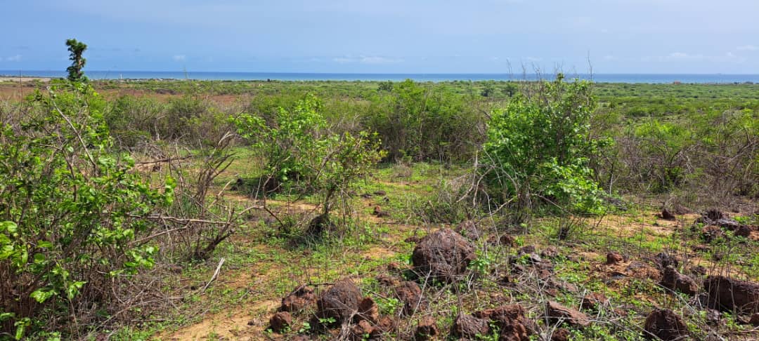 Site de Bintigné 2, Mbour