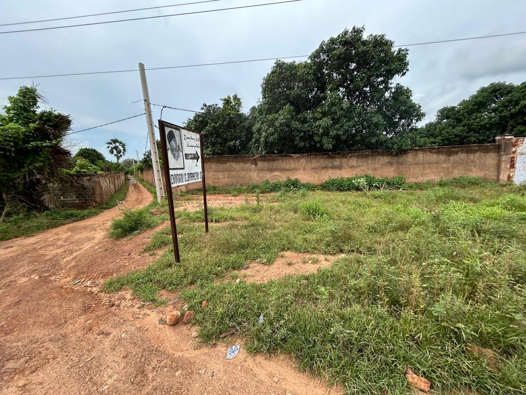 Terrain à vendre à Bintigné – 4 800 m² avec titre foncier individuel